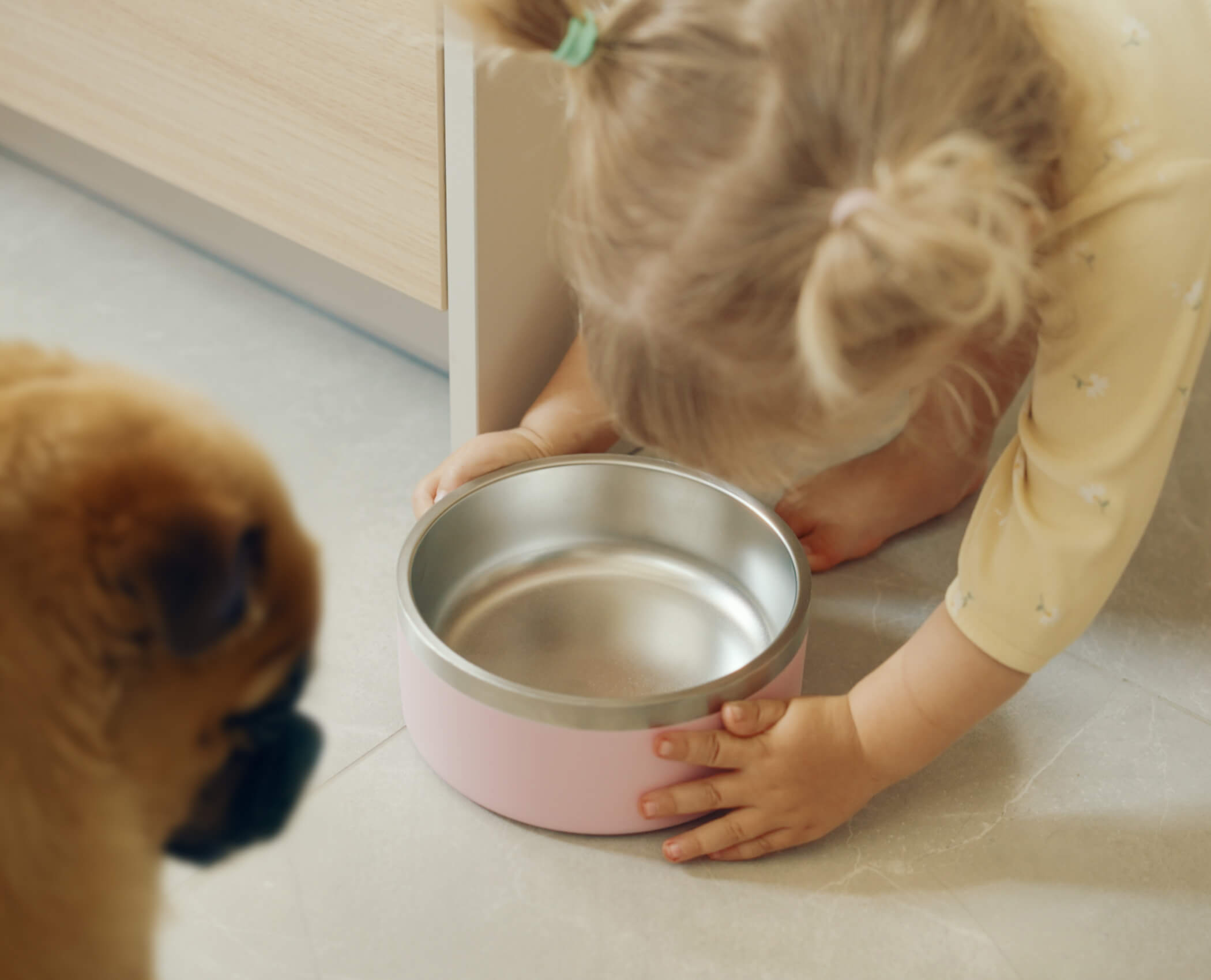 Hydrapeak 4 Cup Dog Bowl - Durable 18/8 Stainless Steel Pet Bowl