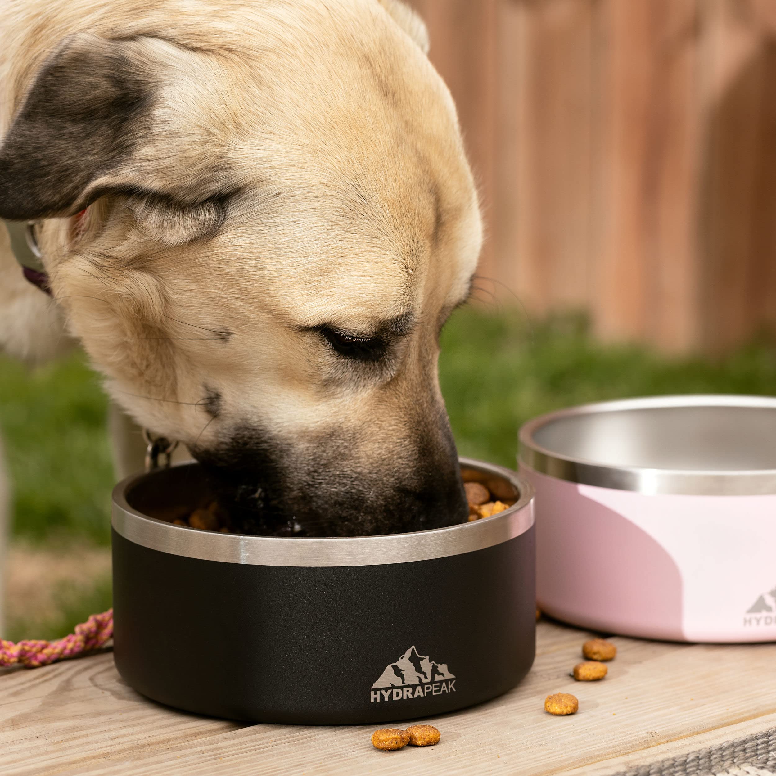Hydrapeak Cloud 8 Cup Stainless Steel Dog Bowl, 64 oz, Large