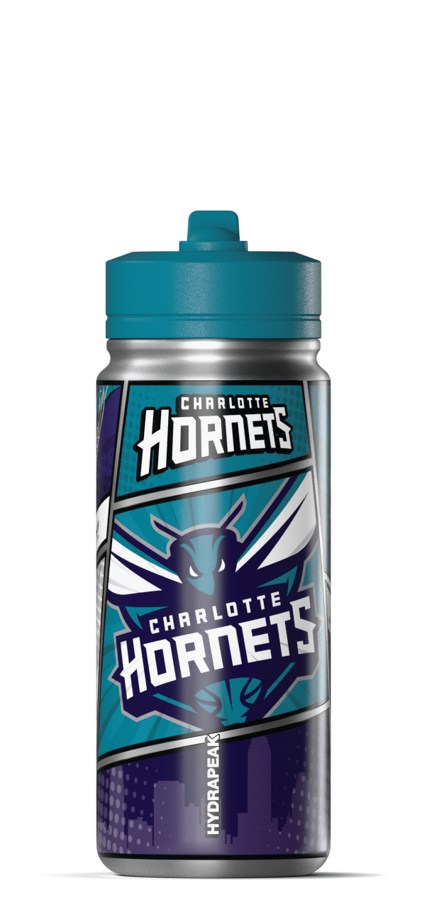 Hydrapeak NBA 20oz Active Insulated Water Bottle - Stainless Steel with Straw Lid and Handle