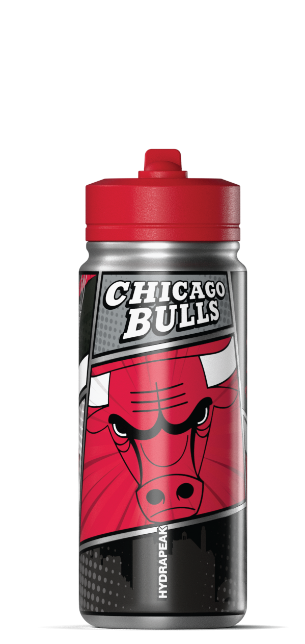 Hydrapeak NBA 20oz Active Insulated Water Bottle - Stainless Steel with Straw Lid and Handle