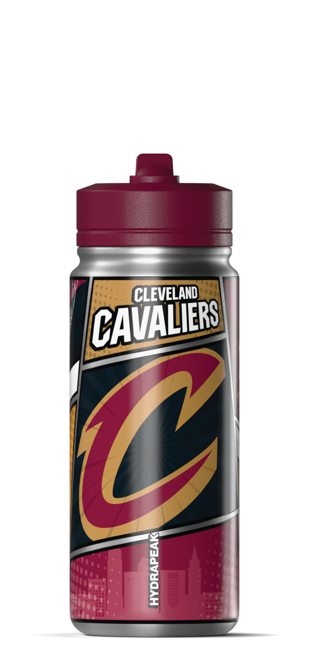Hydrapeak NBA 20oz Active Insulated Water Bottle - Stainless Steel with Straw Lid and Handle